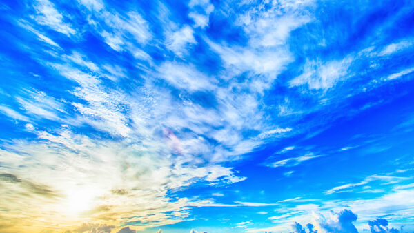 新年のご挨拶と営業開始のお知らせ